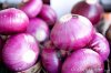 vibrant-purple-onions-5677929.jpg