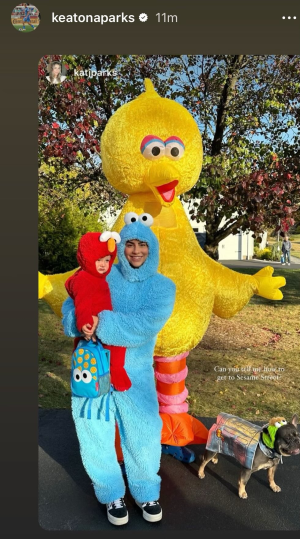 1730409155054.png