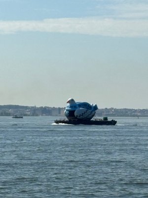 IMG_0296.jpeg
