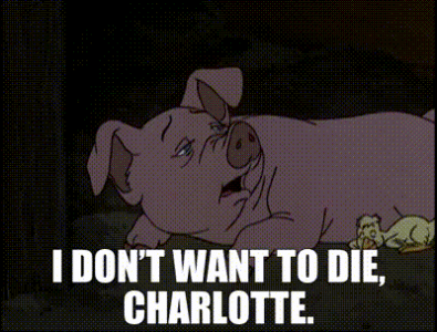 ba266181-6014-40ce-8348-904938f5c163_text.gif ba266181-6014-40ce-8348-904938f5c163_text.gif