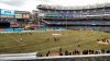 IMG_20150315_163309329.jpg