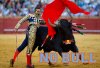 El-Matador.jpg