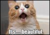 upload_2015-7-6_16-7-24.jpeg