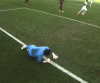 giphy-5.gif