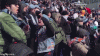 image.gif