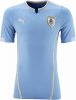 Uruguay 2014 World Cup Home Kit (1).jpg