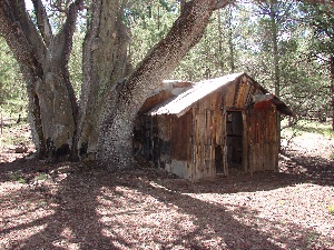 10b1kaibabcabin06.jpg