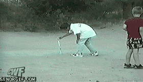 dog-grabs-firework.gif