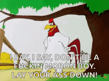 tenor.gif