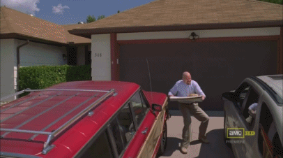 Roof_pizza.gif