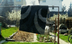 giphy.gif