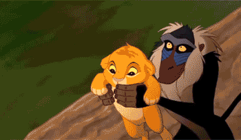 tumblr_moyozhfHNo1s9nxtso1_400.gif