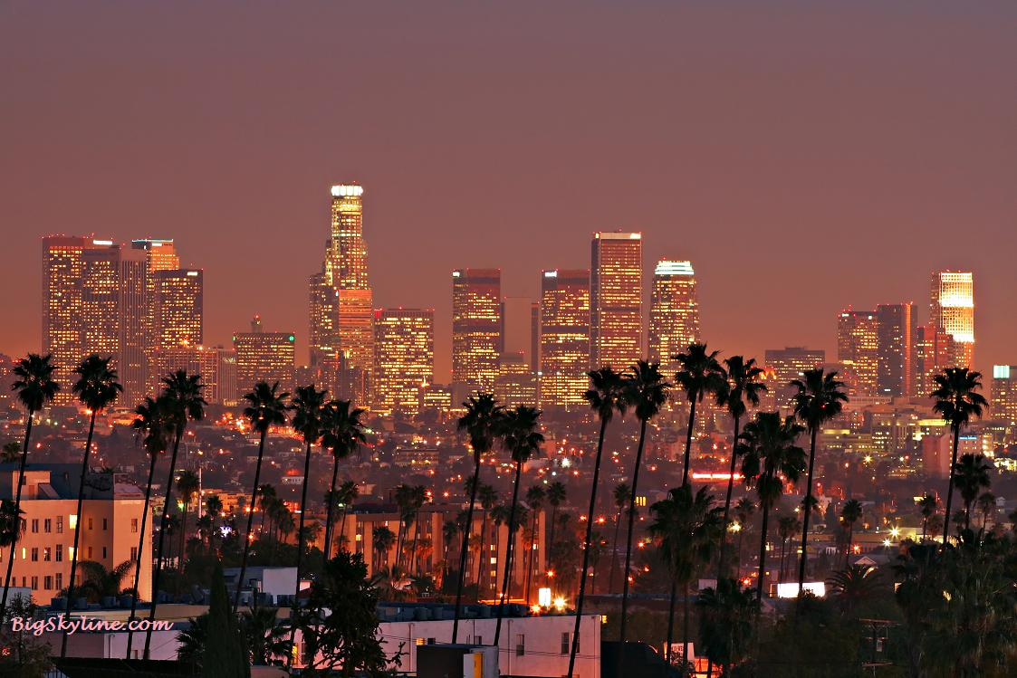 Skyline-Los-Angeles-Night.jpg